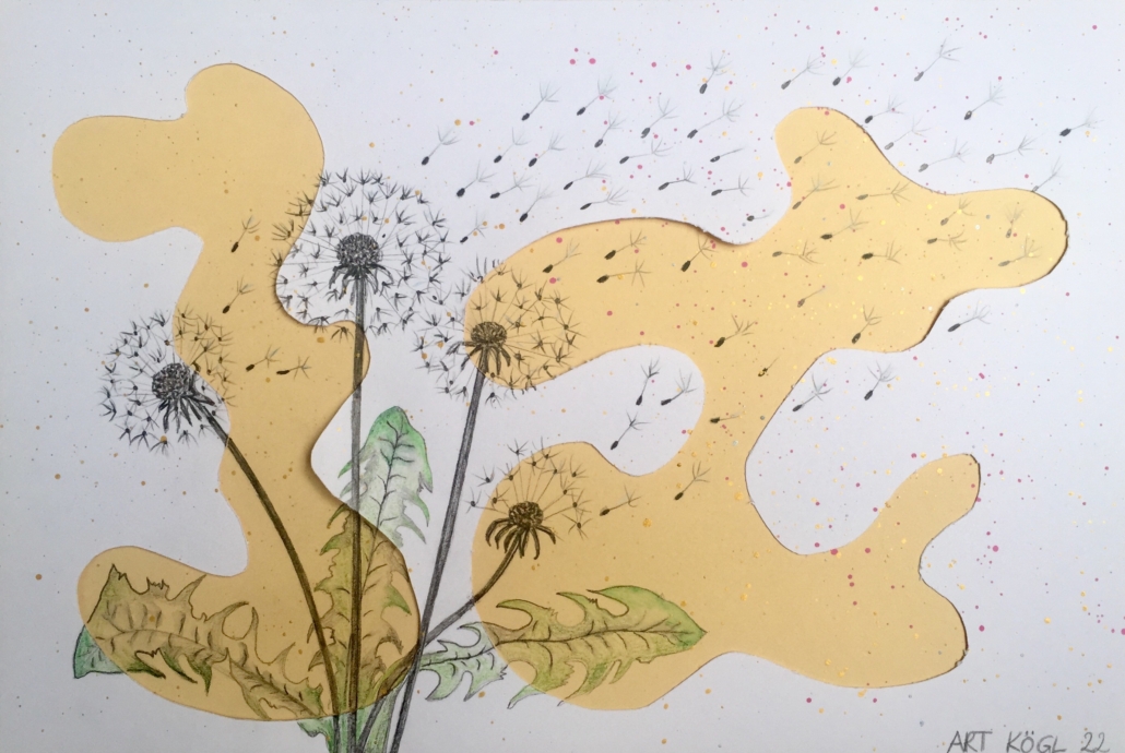 Pusteblume