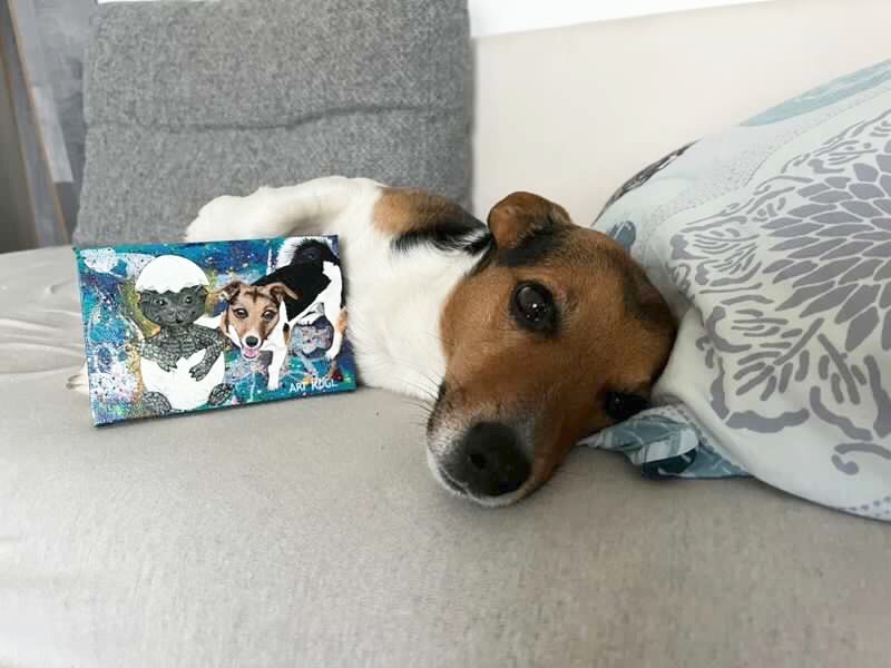 Sammy at Home1